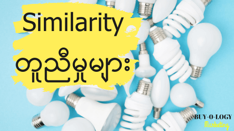 #22 Similarity ( တူညီမှု မှ သဘောကျမှုသို့ )