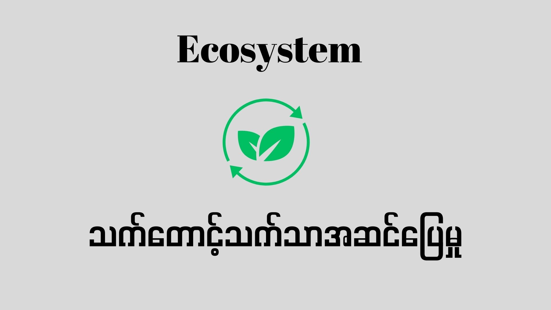 Ecosystem