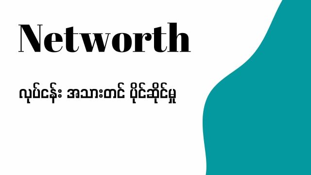 အသားတင်ပိုင်ဆိုင်မှု (Networth)