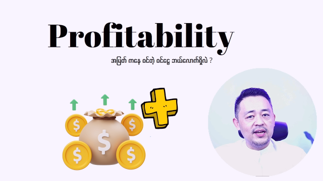 အမြတ်ဝင်ငွေကို သုံးသပ်ခြင်း (Profitability)