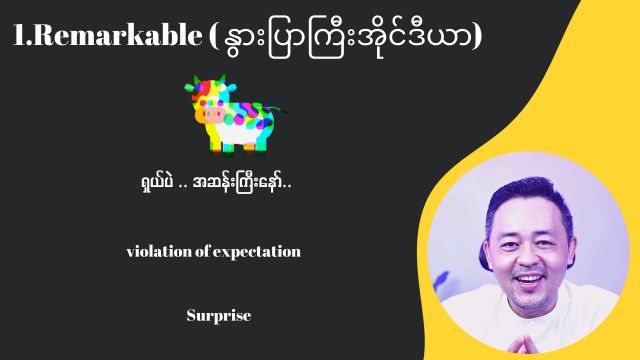 နွားပြာကြီးအိုင်ဒီယာ (Remarkable)